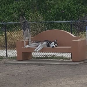 Meet your Posher, Kaleb